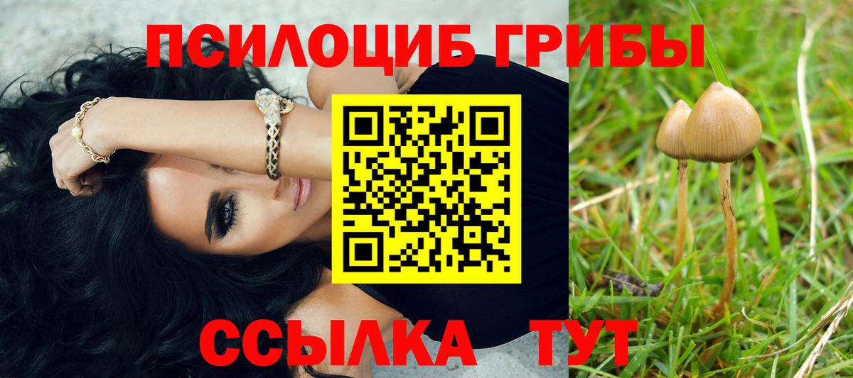 Галлюциногенные грибы MAGIC MUSHROOMS Богданович